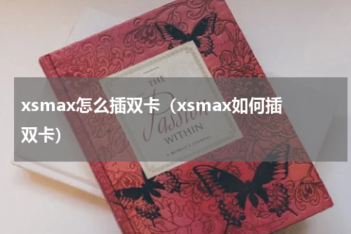 xsmax怎么插双卡（xsmax如何插双卡）