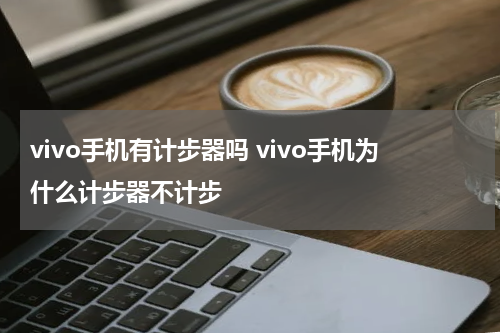 vivo手机有计步器吗 vivo手机为什么计步器不计步
