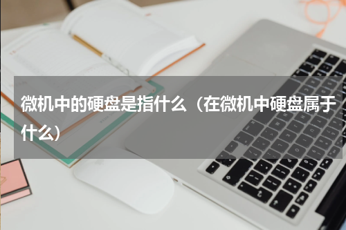 微机中的硬盘是指什么（在微机中硬盘属于什么）