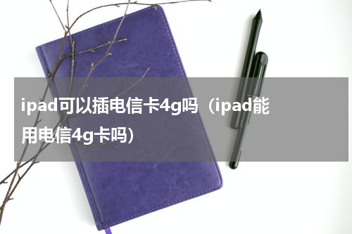 ipad可以插电信卡4g吗（ipad能用电信4g卡吗）