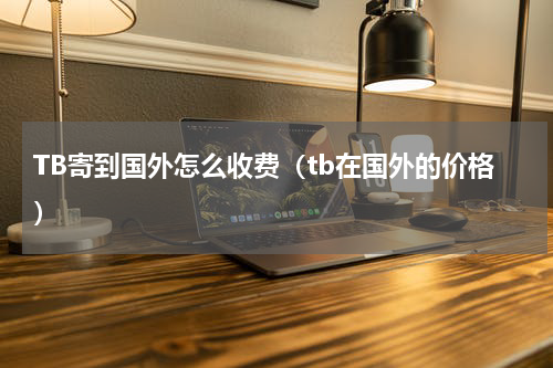 TB寄到国外怎么收费（tb在国外的价格）