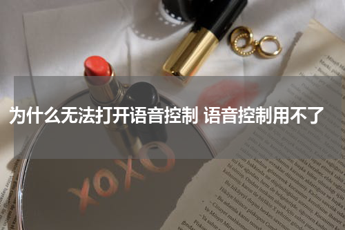 为什么无法打开语音控制 语音控制用不了