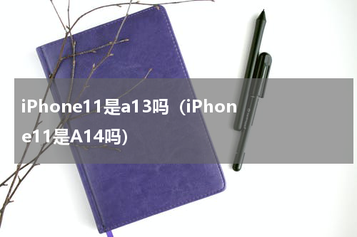 iPhone11是a13吗（iPhone11是A14吗）