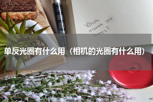 单反光圈有什么用（相机的光圈有什么用）
