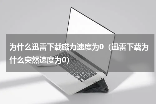 为什么迅雷下载磁力速度为0（迅雷下载为什么突然速度为0）