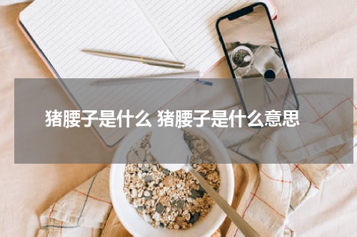 猪腰子是什么 猪腰子是什么意思