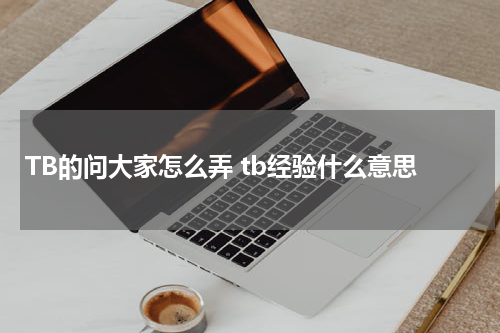 TB的问大家怎么弄 tb经验什么意思