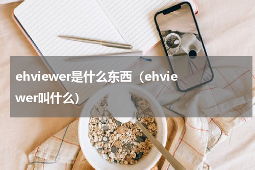 ehviewer是什么东西（ehviewer叫什么）