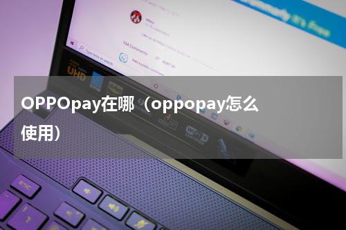 OPPOpay在哪（oppopay怎么使用）