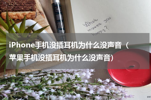 iPhone手机没插耳机为什么没声音（苹果手机没插耳机为什么没声音）