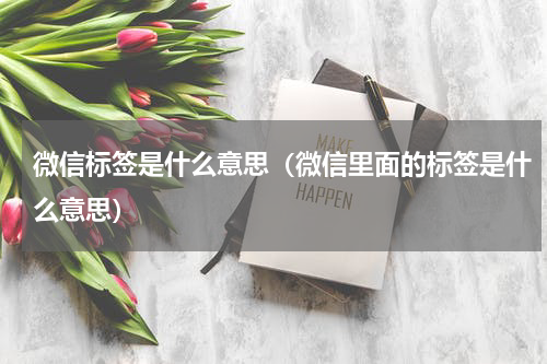 微信标签是什么意思（微信里面的标签是什么意思）