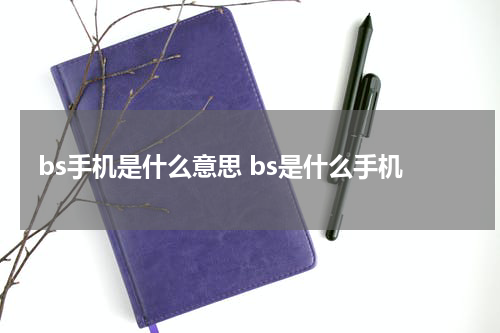 bs手机是什么意思 bs是什么手机