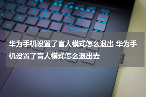 华为手机设置了盲人模式怎么退出 华为手机设置了盲人模式怎么退出去