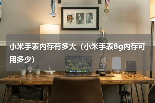 小米手表内存有多大（小米手表8g内存可用多少）