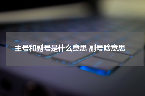主号和副号是什么意思 副号啥意思