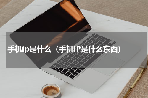 手机ip是什么（手机IP是什么东西）