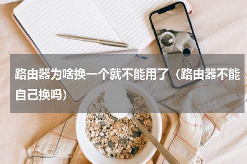 路由器为啥换一个就不能用了（路由器不能自己换吗）