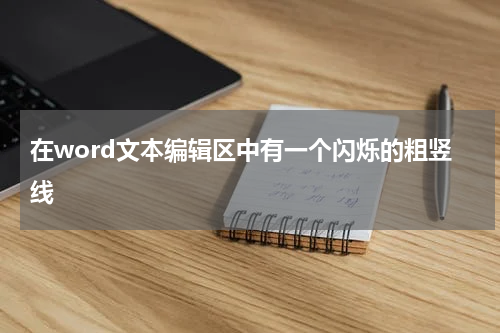 在word文本编辑区中有一个闪烁的粗竖线