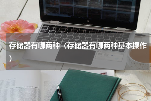 存储器有哪两种（存储器有哪两种基本操作）
