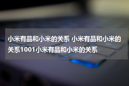 小米有品和小米的关系 小米有品和小米的关系1001小米有品和小米的关系