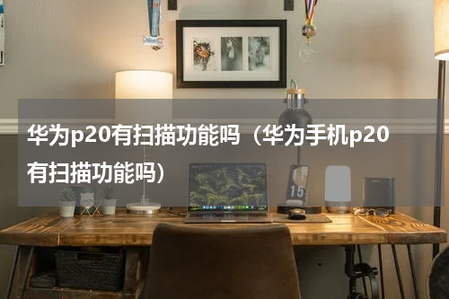 华为p20有扫描功能吗（华为手机p20有扫描功能吗）