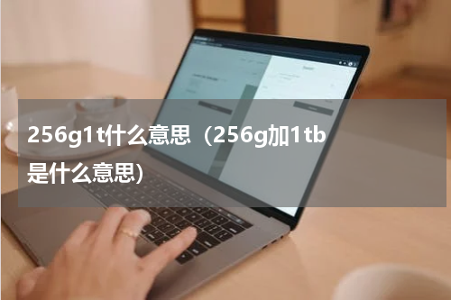 256g1t什么意思（256g加1tb是什么意思）