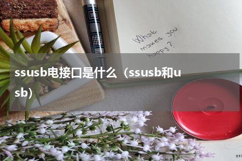 ssusb电接口是什么（ssusb和usb）