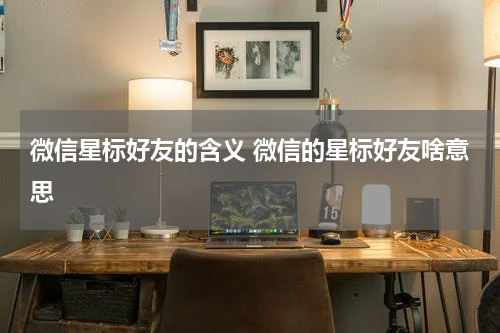 微信星标好友的含义 微信的星标好友啥意思