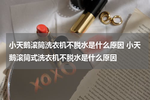 小天鹅滚筒洗衣机不脱水是什么原因 小天鹅滚筒式洗衣机不脱水是什么原因