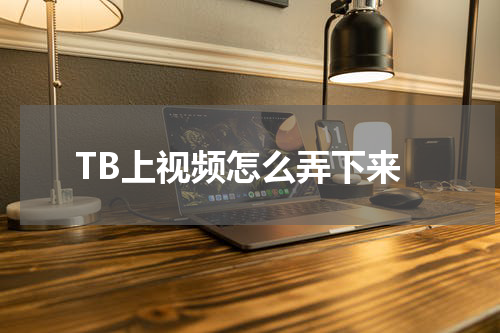 TB上视频怎么弄下来