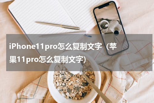 iPhone11pro怎么复制文字（苹果11pro怎么复制文字）