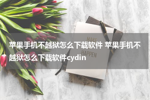 苹果手机不越狱怎么下载软件 苹果手机不越狱怎么下载软件cydin