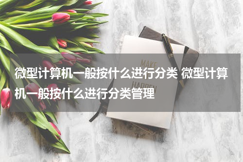 微型计算机一般按什么进行分类 微型计算机一般按什么进行分类管理