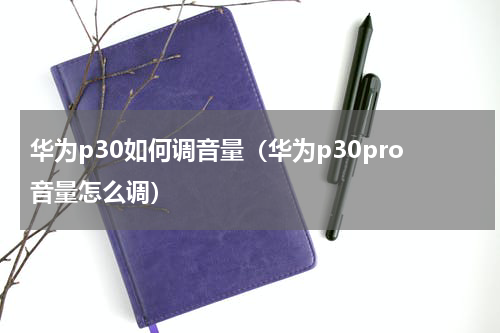 华为p30如何调音量（华为p30pro音量怎么调）