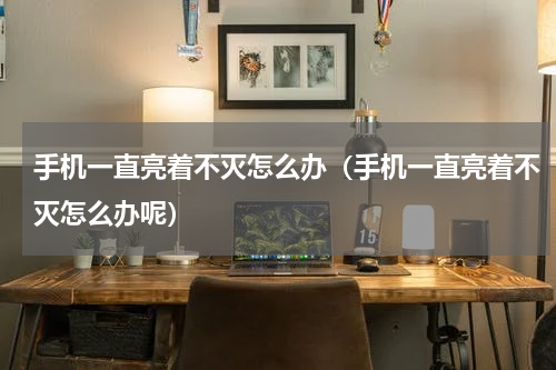 手机一直亮着不灭怎么办（手机一直亮着不灭怎么办呢）