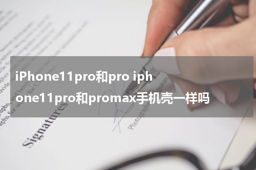 iPhone11pro和pro iphone11pro和promax手机壳一样吗