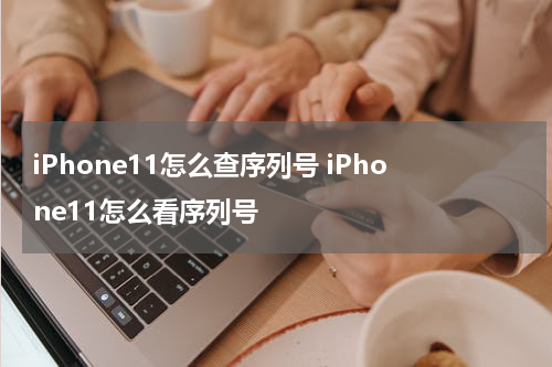 iPhone11怎么查序列号 iPhone11怎么看序列号
