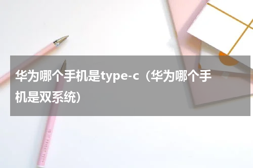 华为哪个手机是type-c（华为哪个手机是双系统）