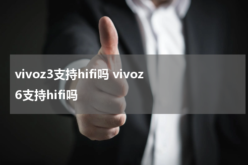 vivoz3支持hifi吗 vivoz6支持hifi吗