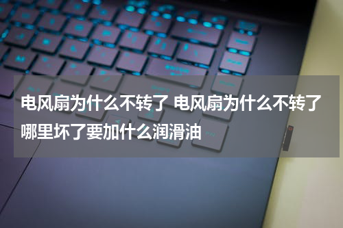 电风扇为什么不转了 电风扇为什么不转了哪里坏了要加什么润滑油