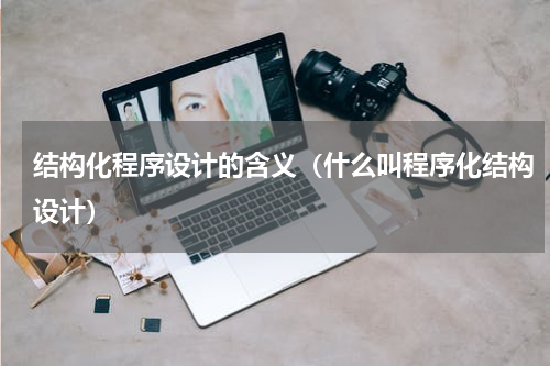 结构化程序设计的含义（什么叫程序化结构设计）