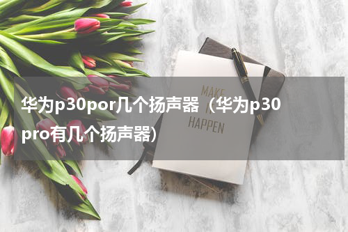 华为p30por几个扬声器（华为p30pro有几个扬声器）