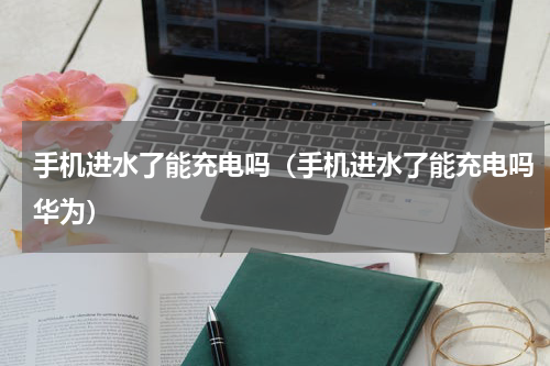 手机进水了能充电吗（手机进水了能充电吗华为）
