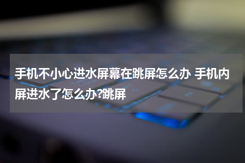手机不小心进水屏幕在跳屏怎么办 手机内屏进水了怎么办?跳屏