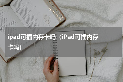 ipad可插内存卡吗（iPad可插内存卡吗）