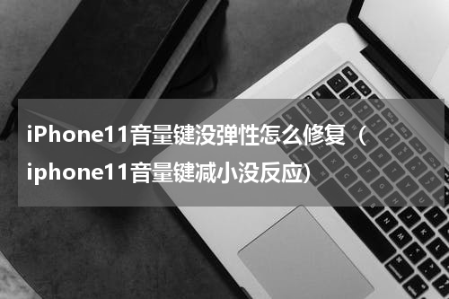 iPhone11音量键没弹性怎么修复（iphone11音量键减小没反应）