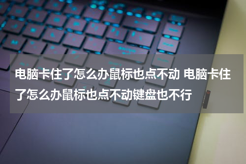 电脑卡住了怎么办鼠标也点不动 电脑卡住了怎么办鼠标也点不动键盘也不行