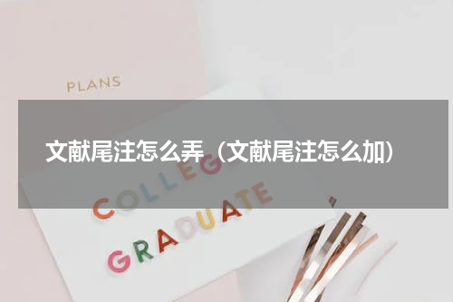 文献尾注怎么弄（文献尾注怎么加）