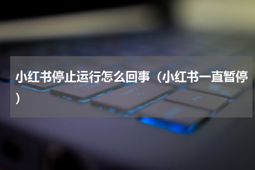 小红书停止运行怎么回事（小红书一直暂停）