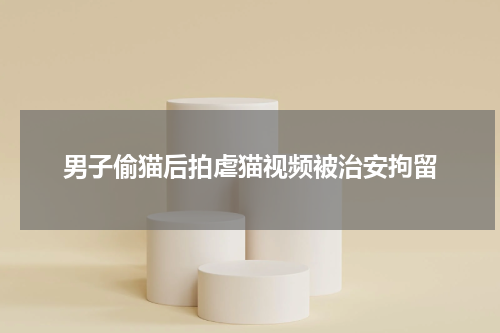 男子偷猫后拍虐猫视频被治安拘留